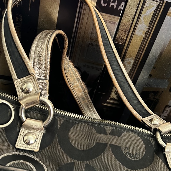 Coach Poppy - Picture 7 of 15